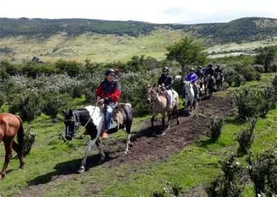 Cabalgata de medio día en Puerto Natales