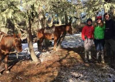 Cabalgata de medio día en Puerto Natales