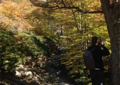 Caminata base las torres
