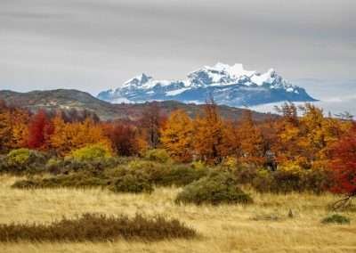 Full Day Paine