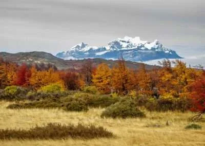 Full Day Paine