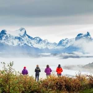 Full Day Torres del Paine