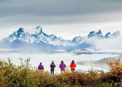 Full Day Torres del Paine
