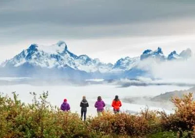 Full Day Torres del Paine