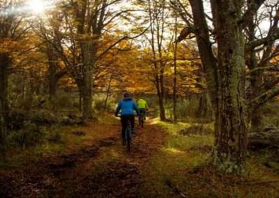 MTB + Trekking Ruta Rupestre