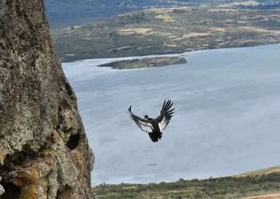 Caminata de Medio día Cerca de Puerto Natales